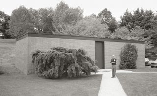 A 1966 view of Johnson outside the Brick House, showing evergreen shrub and climbing ivy – landscaping that quickly succumbed to the climate – and cars in the parking area
