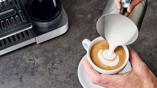 Person pouring milk steamed using Ninja Luxe Café coffee machine