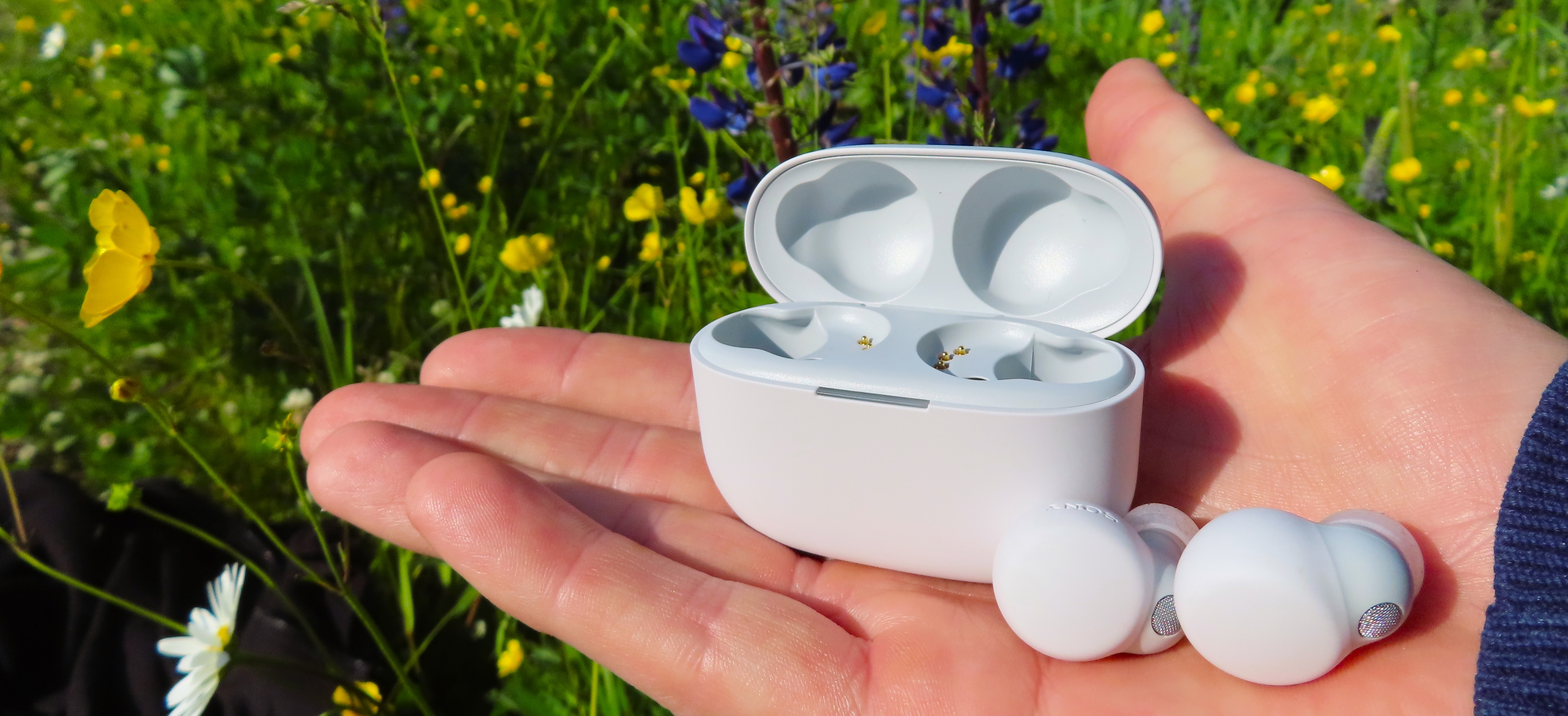 Ett par vita Sony LinkBuds S ligger i en öppen handflata bredvid sitt laddningsfodral med en blomsteräng i bakgrunden.