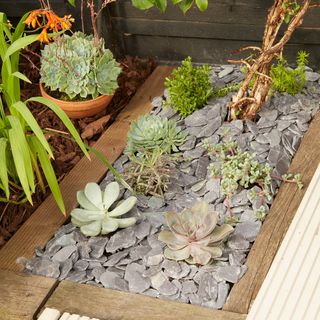 decking decoration succulent patch and potted plant