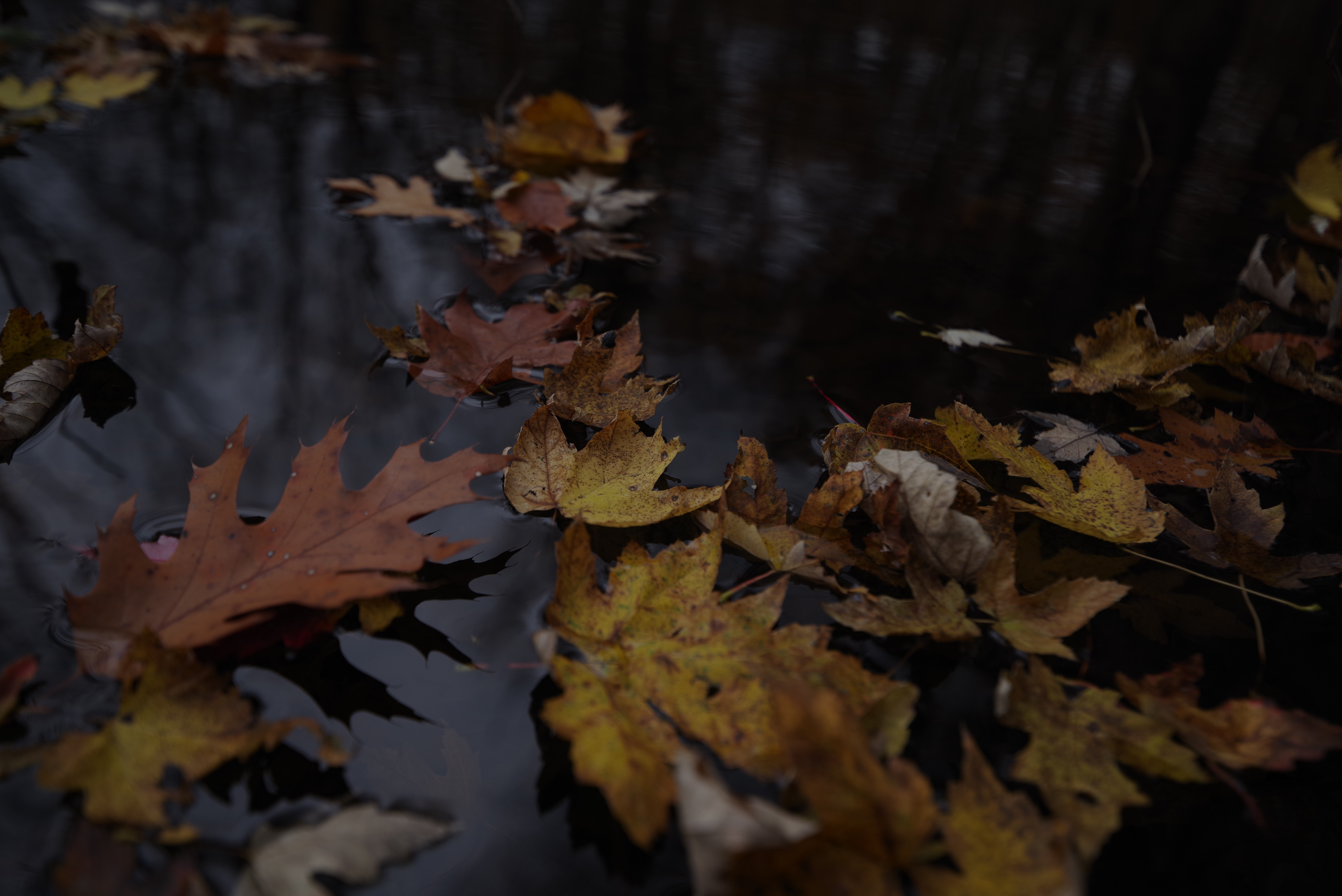 An image shot with the Pentax 15-30mm f/2.8 and the Pentax K-1 Mark II