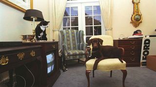 Cats in the White House: Buddy The Dog And Socks The Cat in the Oval Office