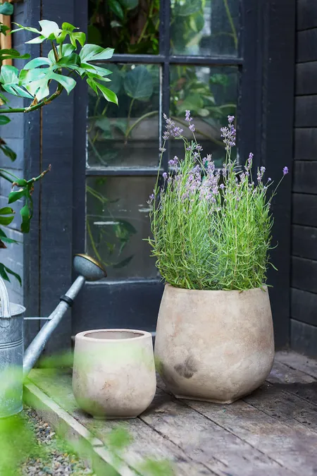 Aged Ceramic Planter