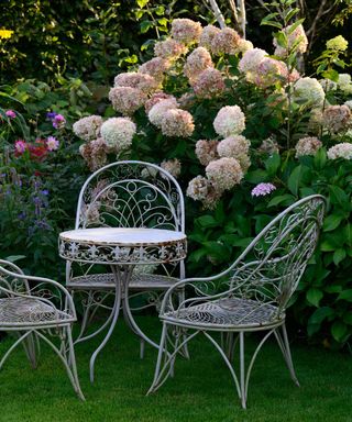 white metal table and chairs in front of a hydrangea bush in a cottage garden