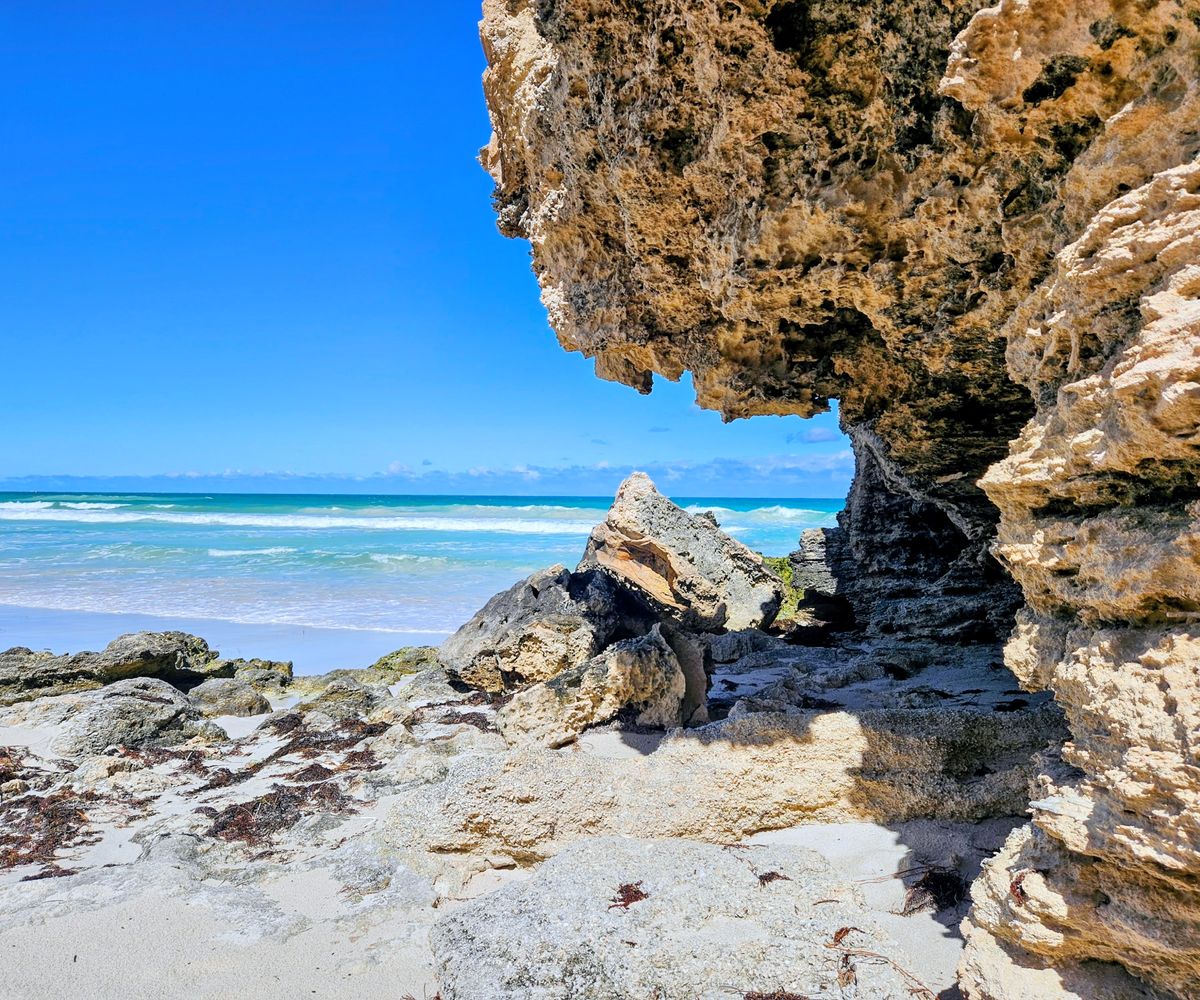 GuruShots - Nature March 2026