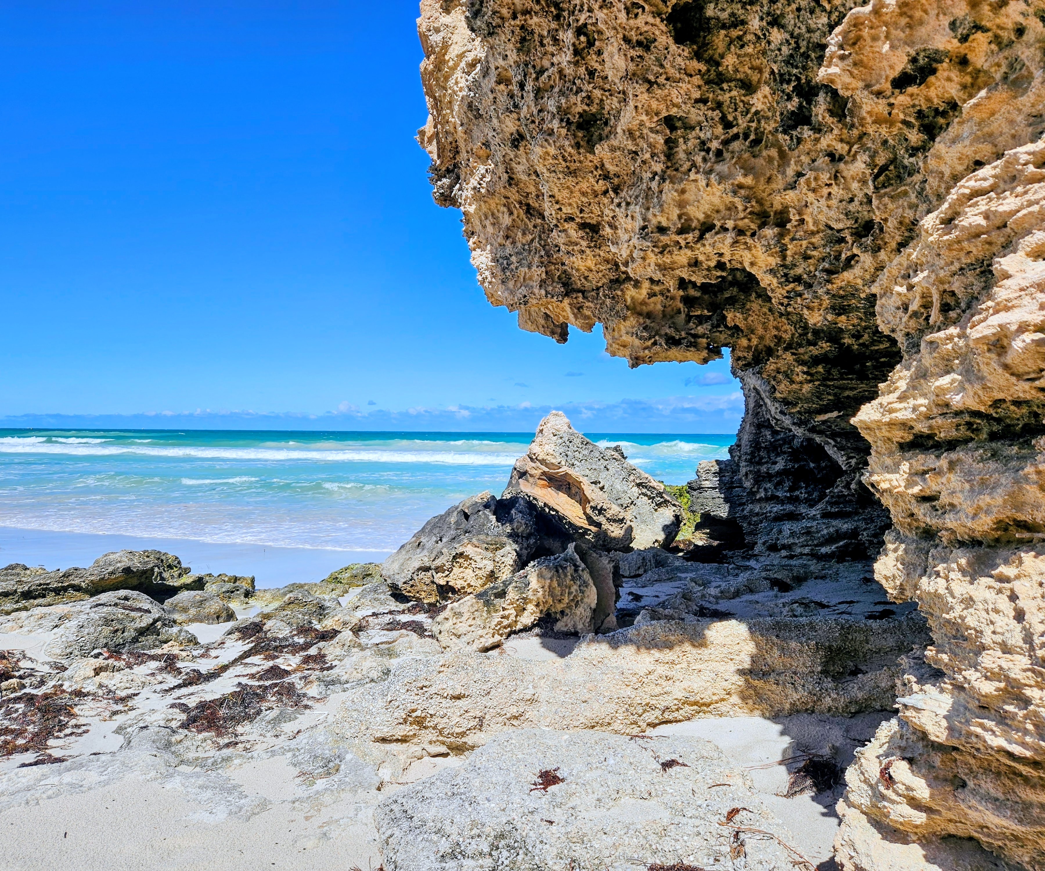 GuruShots - Nature March 2026