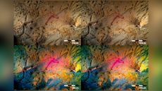 We see four images of a horse painted on a cave wall. The bottom two images are brighter.