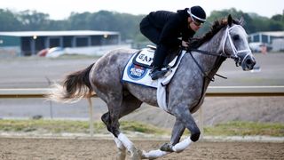 Tapit Trice and an exercise rider train on the track during morning workouts prior to the 155th running of the Belmont Stakes at Belmont Park on June 09, 2023 in Elmont, New York.
