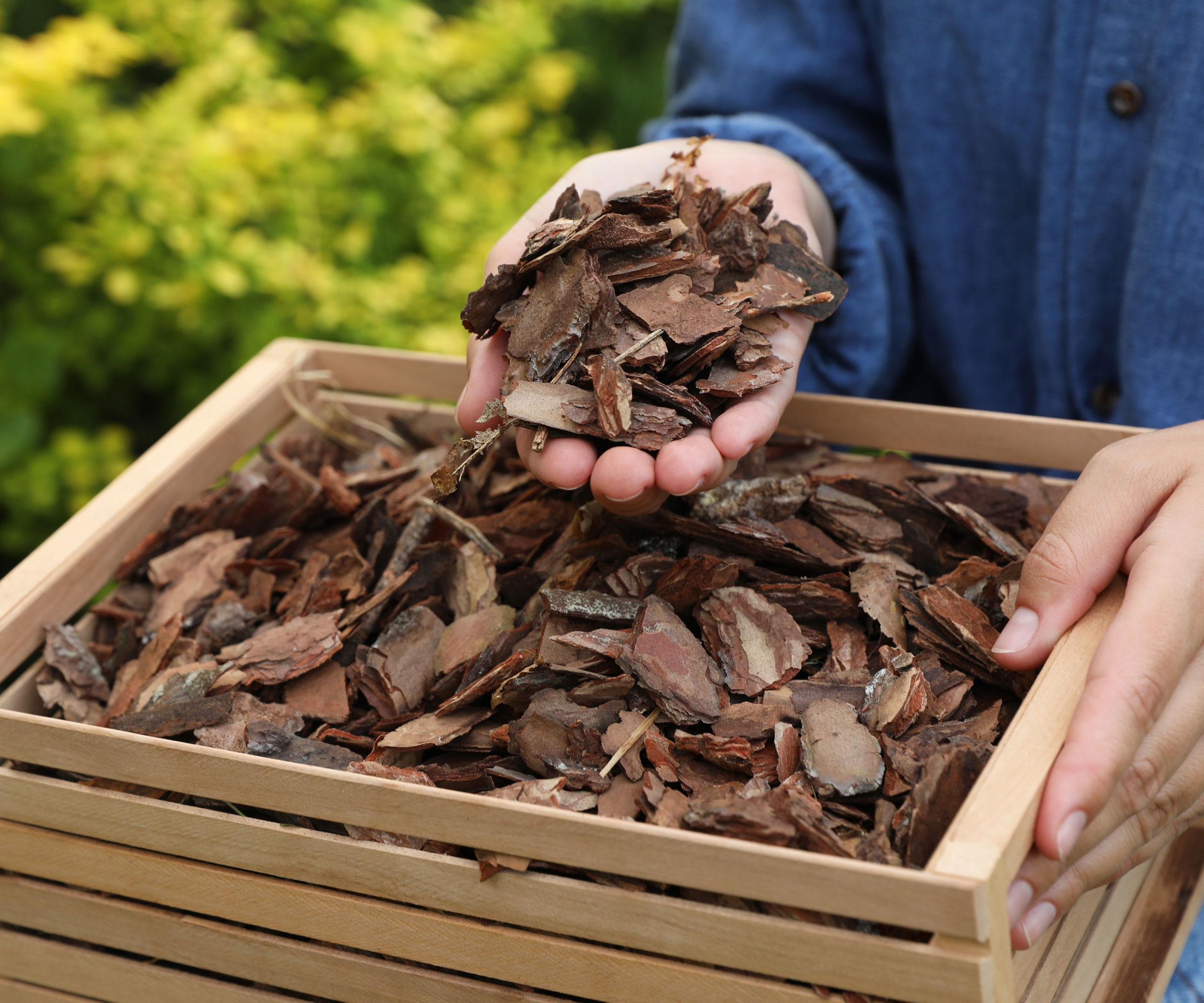 lifting bark mulch from wooden box