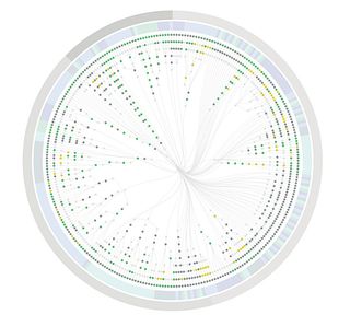 This visual regression framework illustrates decision trees in your application, exposing complexity to those outside of development