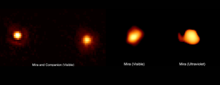 Hubble separates stars in the Mira binary system, shows two orange blobs next to each other.