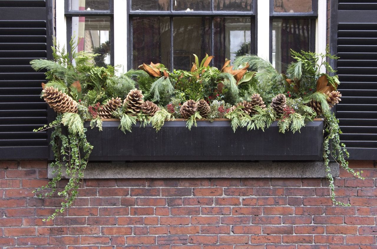 Outdoor Window Box Planter