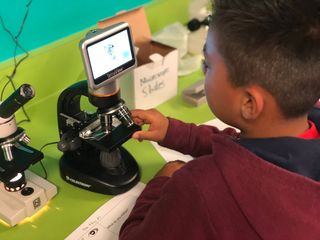 An elementary student at Val Verde (CA) Unified School District engages in science learning.