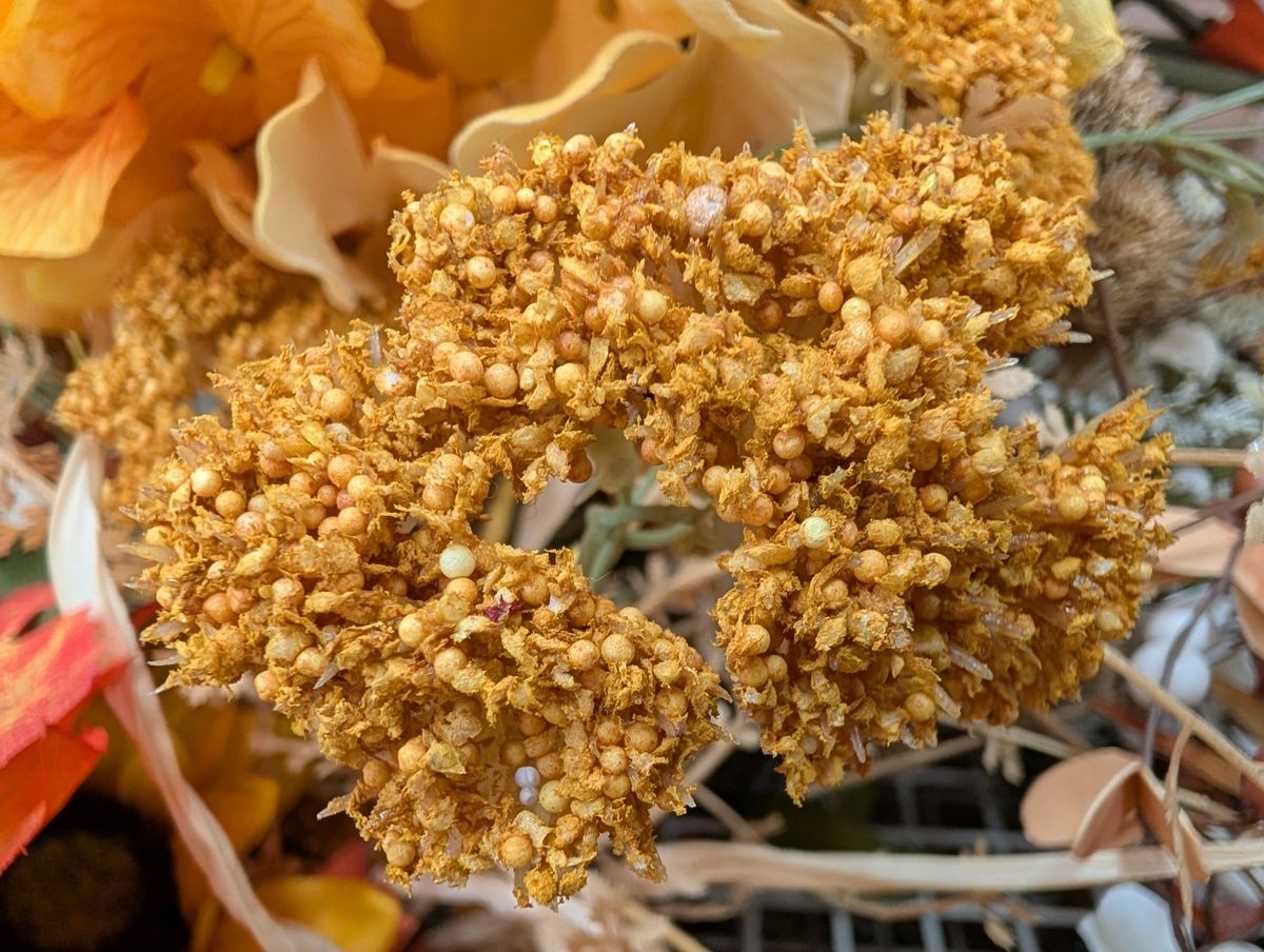 Google Pixel 9 Pro XL macro sample.