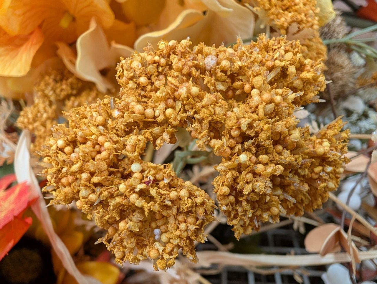 Google Pixel 9 Pro XL macro sample.