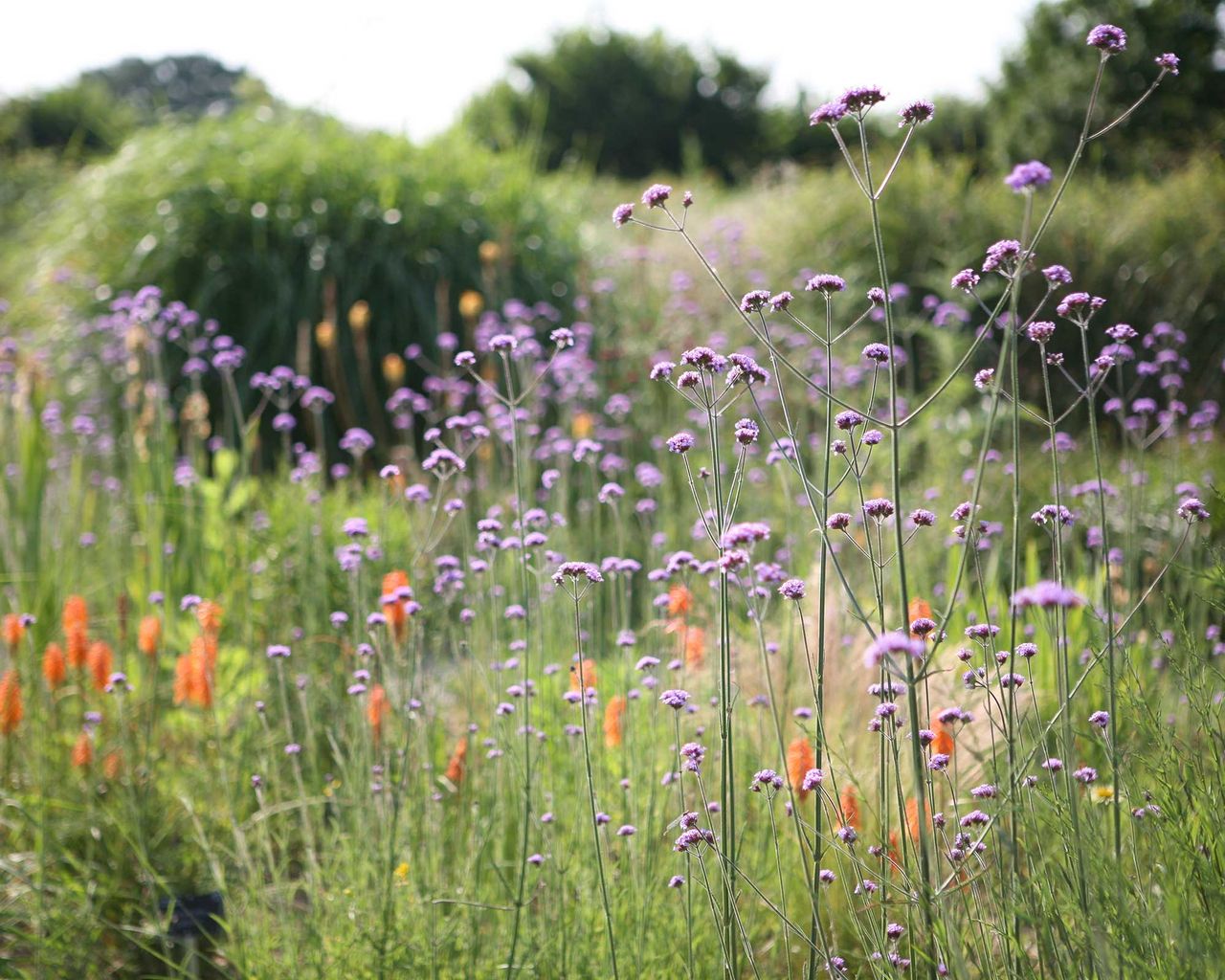 Guide to soil types: discover the best plants for your plot | Gardeningetc