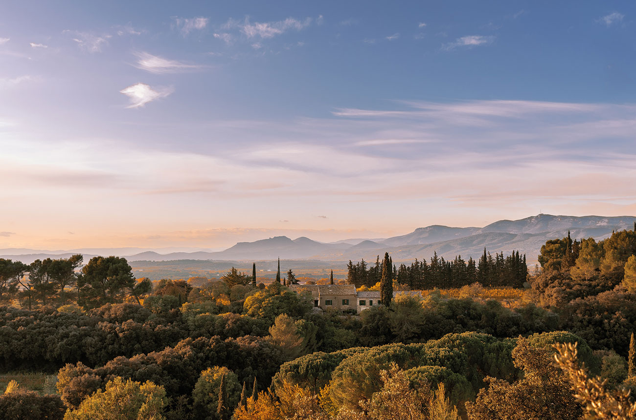 Mas de Daumas Gassac
