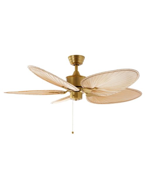 Belize Palm Indoor Ceiling Fan