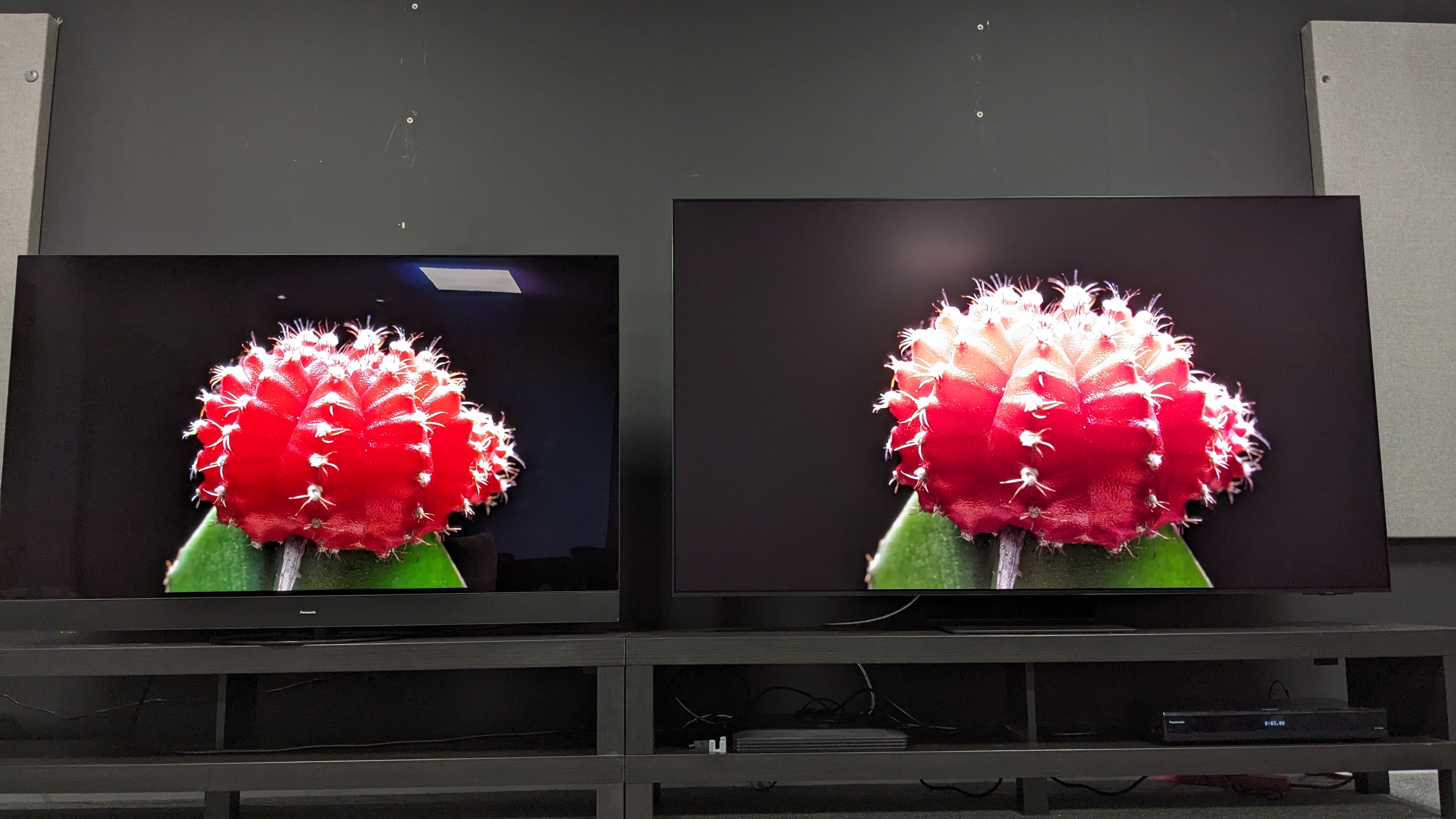 Samsung S95D and Panasonic MZ1500 with red plant on screen
