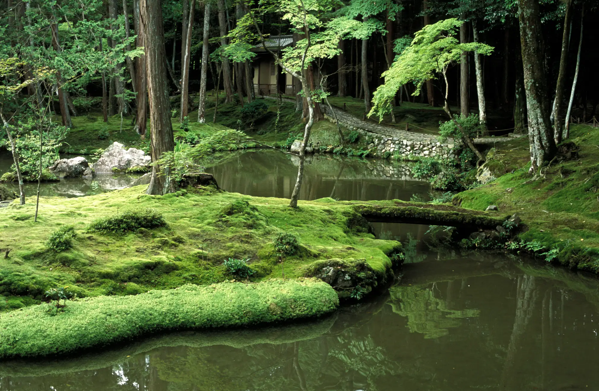 Zen garden of Saiho ji Moss Temple Kokedera Kyoto Japan