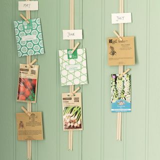 hanging seed cards on a green wall