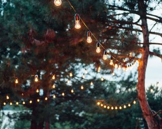 festoon lights in garden trees