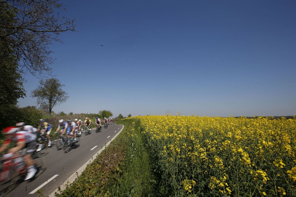 The peloton speeds through the countryside