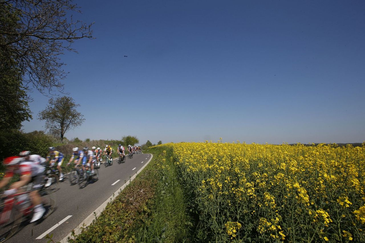 The peloton speeds through the countryside