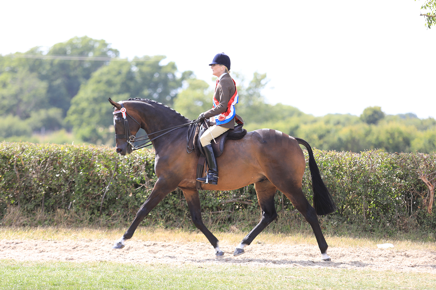 Minella Rebellion_EQUINATIONAL