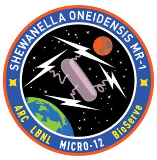 NASA designed a mission patch for a project sending electricity-generating bacteria to the International Space Station.