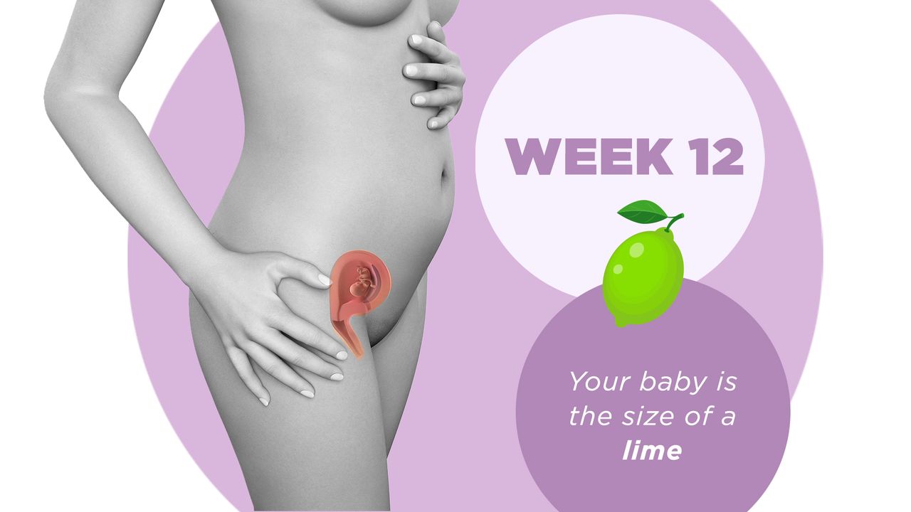 Pregnancy week by week