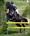 DSC_7508th.jpg