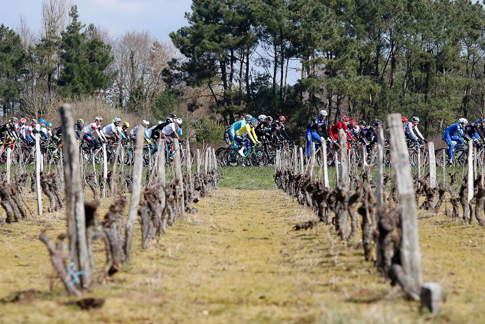 Vineyards frame the peloton during stage 2 at Paris-Nice