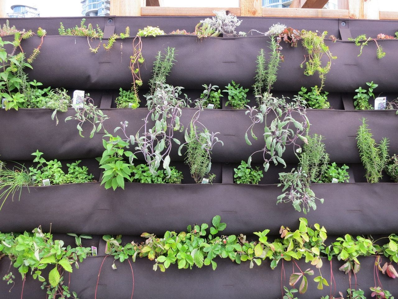 Herb Garden Wall