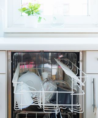 Dishwasher near a sink