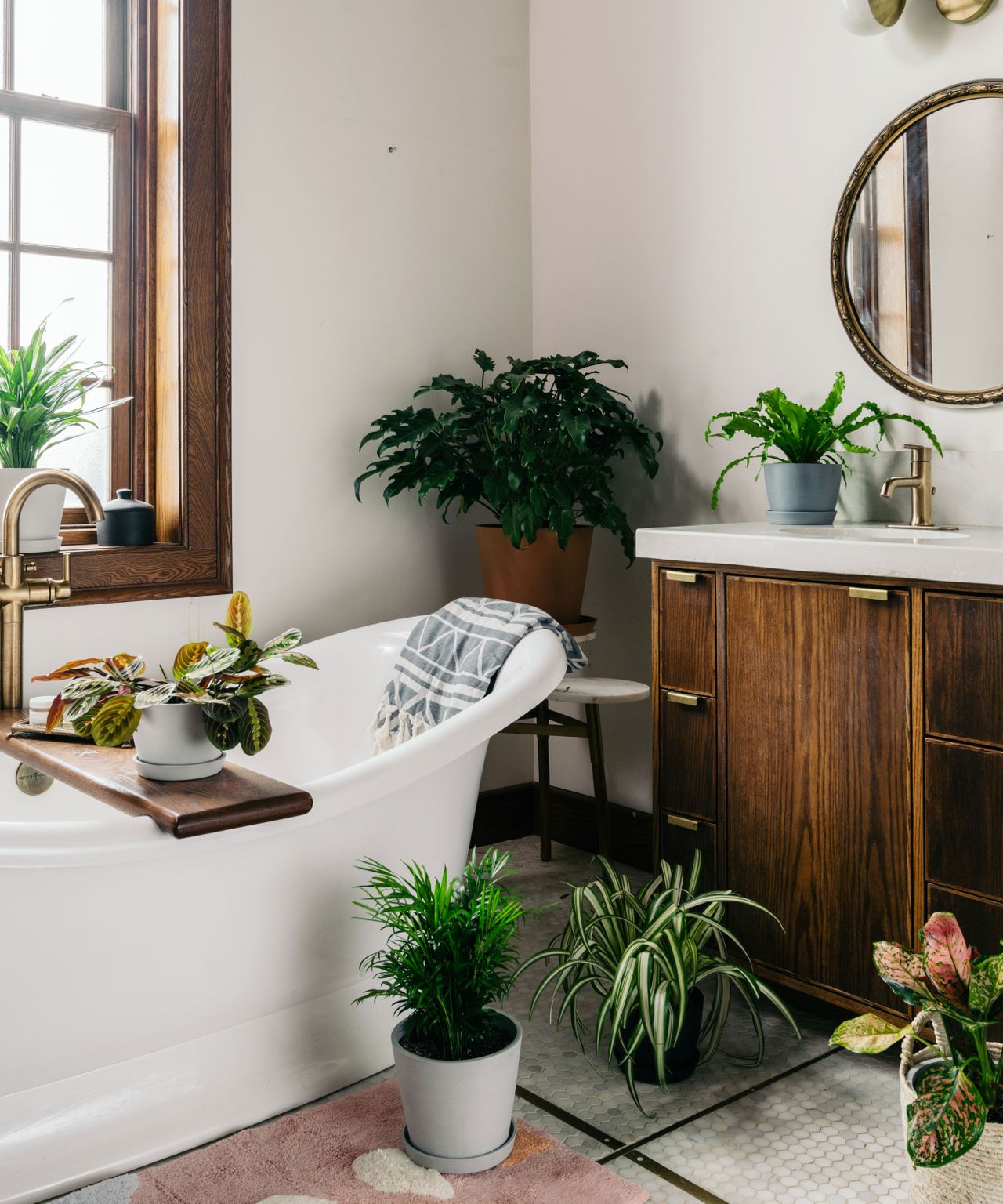 Best bathroom plants: 10 that thrive in humid environments