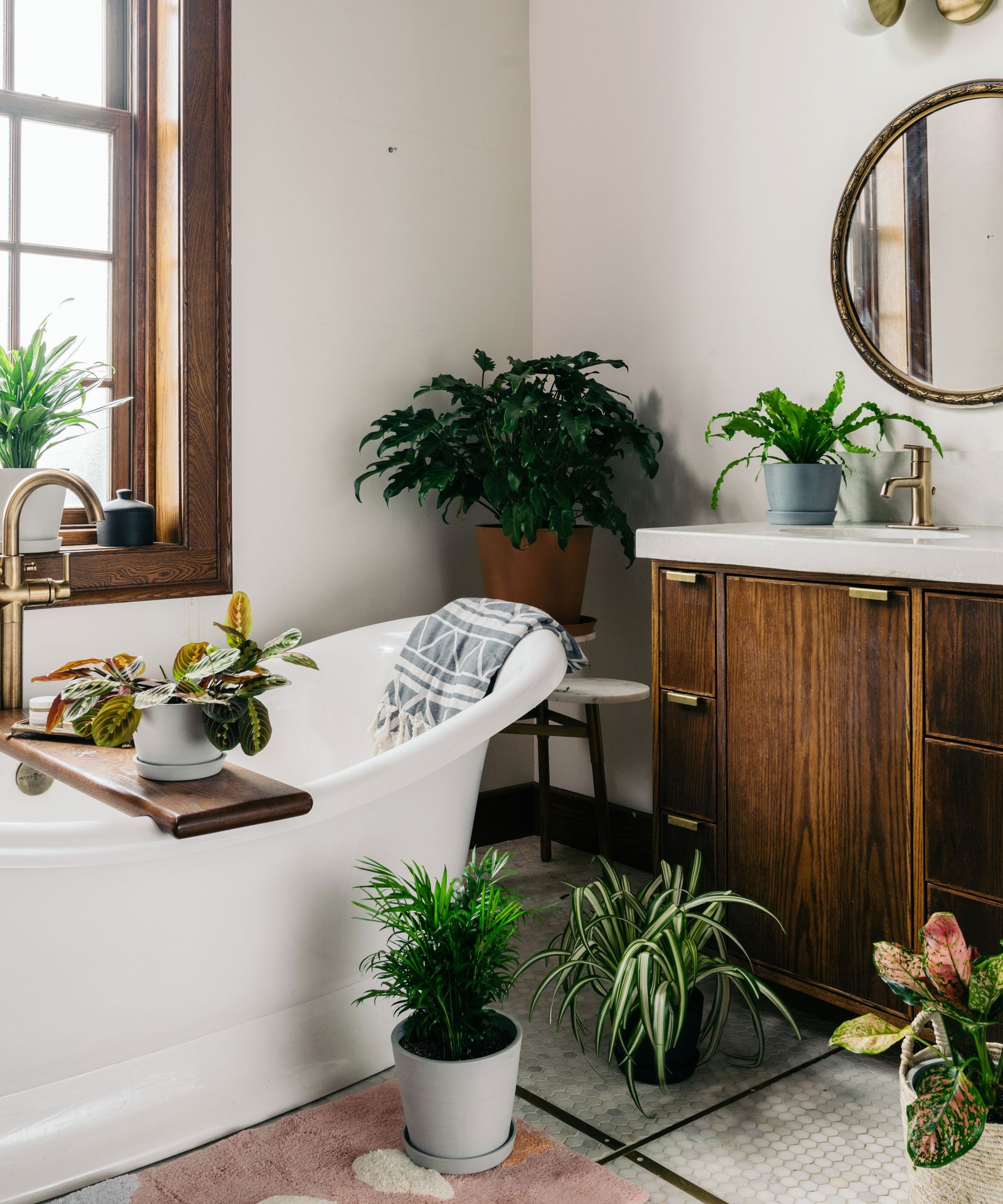 Best bathroom plants: 10 that thrive in humid environments