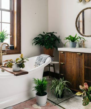 plants for a bathroom