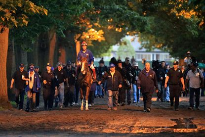 On the eve of Belmont, a Triple Crown hopeful waits