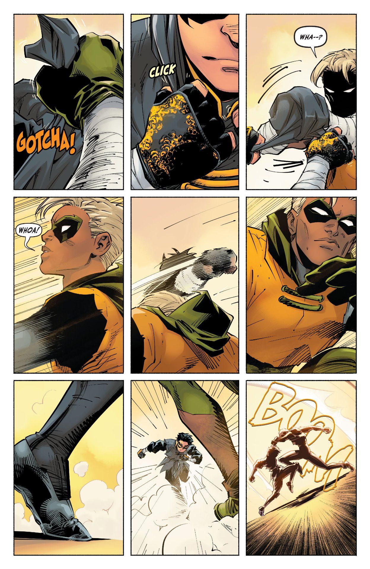Robin #8