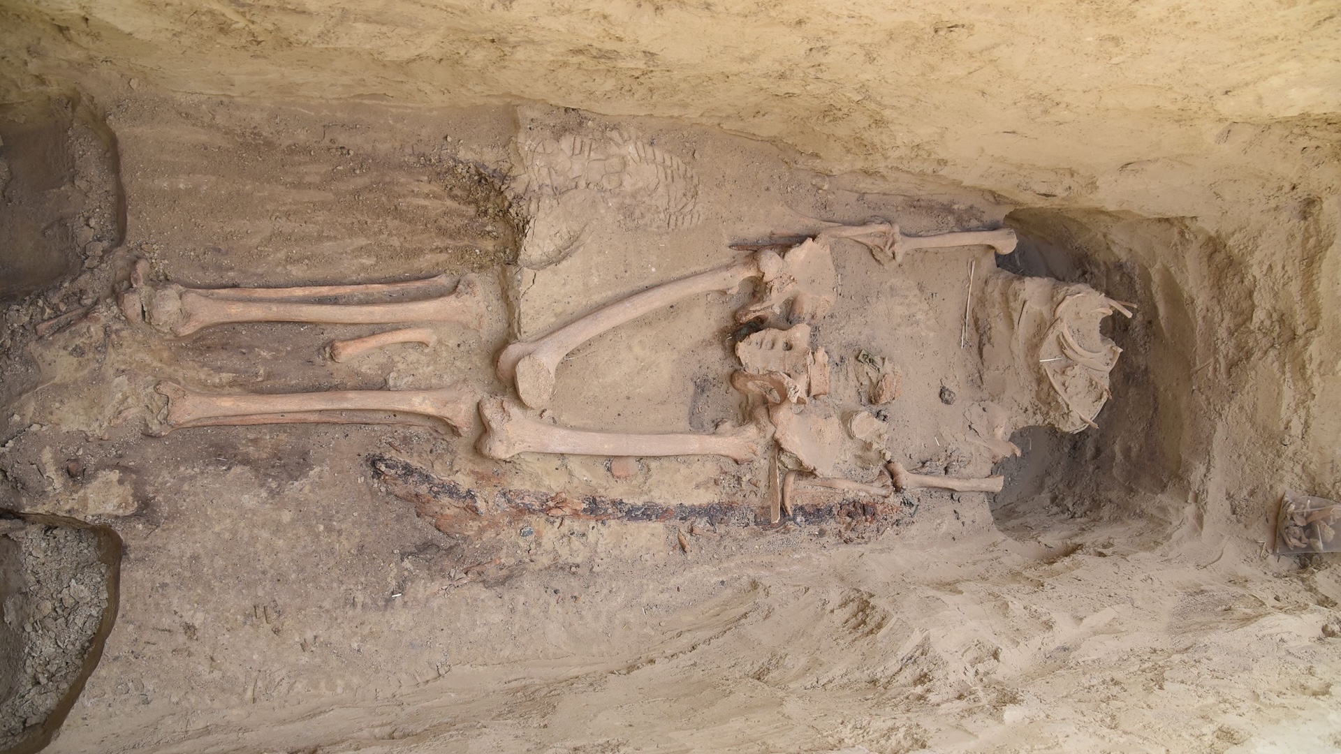 a skeleton in a grave