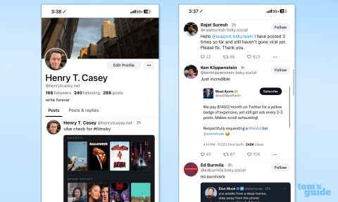 Bluesky — Everything You Need To Know About This Twitter Alternative ...