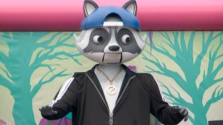 OTEV raccoon in Big Brother