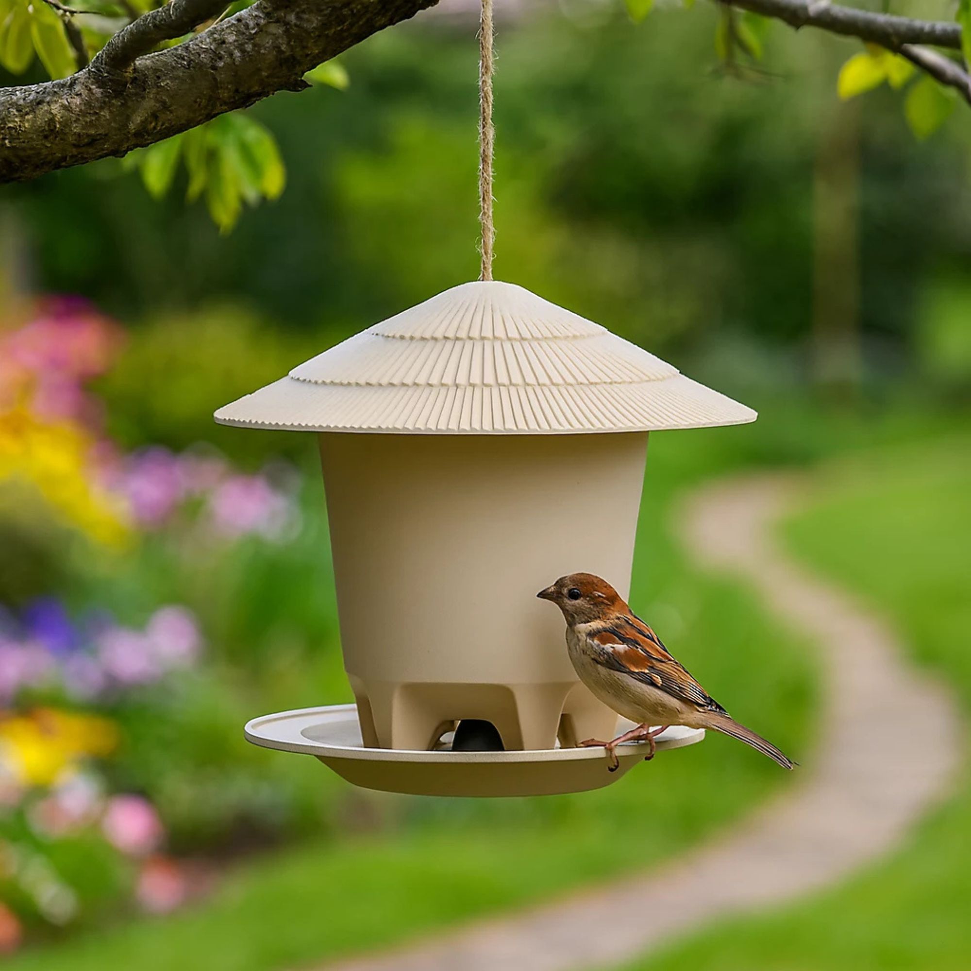 bird feeder B&amp;amp;Q