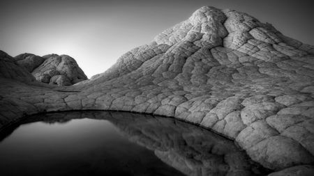 A black and white photograph captures the highly textured, brain-like rock formations of White Pocket reflecting in a small, dark pool of water under a bright sky.