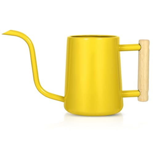 Watering Can Indoor Plants, 35 Oz/1000 Ml Metal Stainless Steel Watering Can Pot With Long Spout for Indoor House Plants Bonsai Outdoor Garden Flower Decorative (yellow)