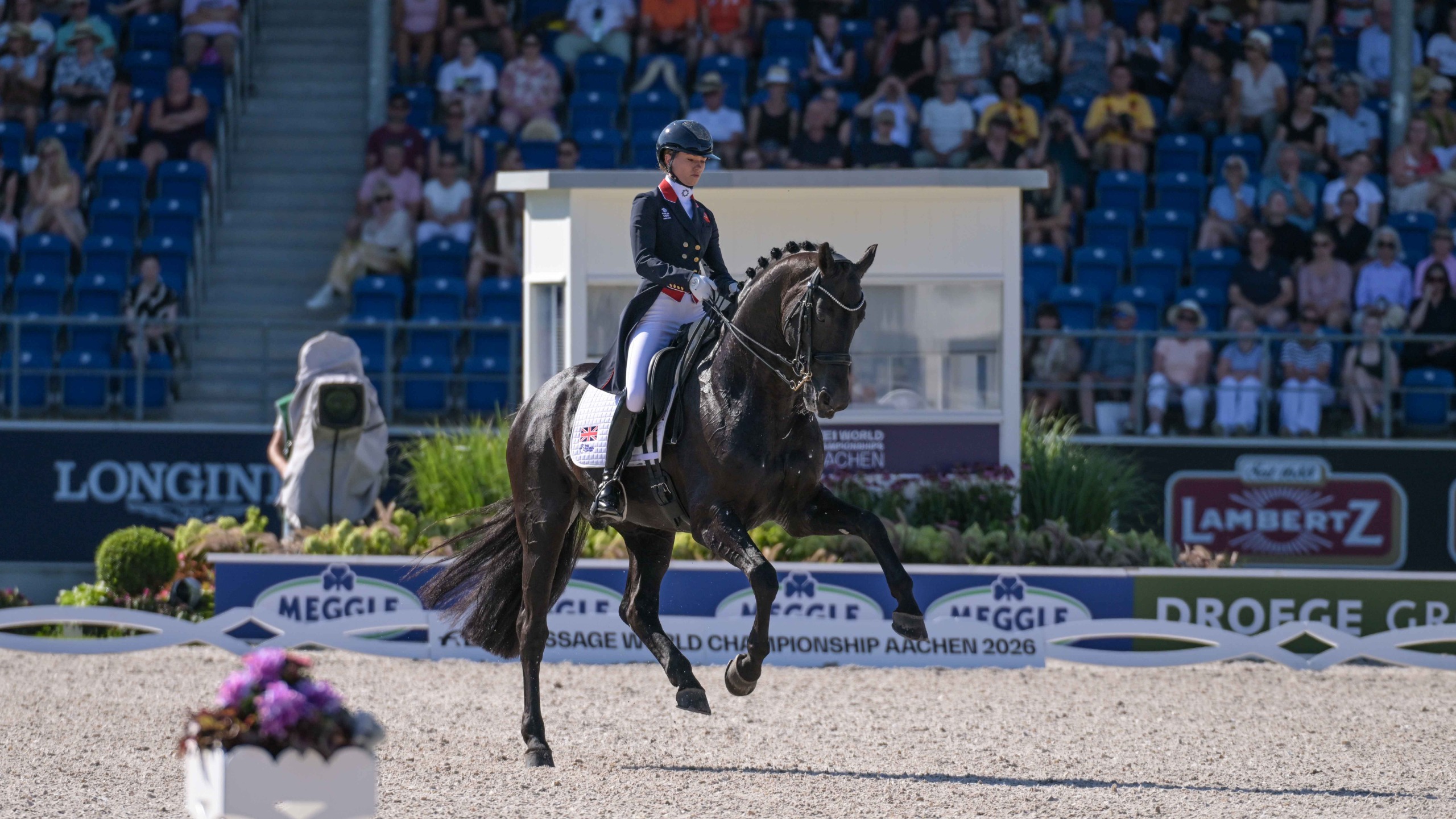 Lottie Fry riding a flying change on her horse Glamourdale during their grand prix test at the 2026 World Championships in Aachen.