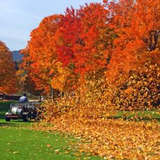 A lawn mower blowing fall leaves on a lawn