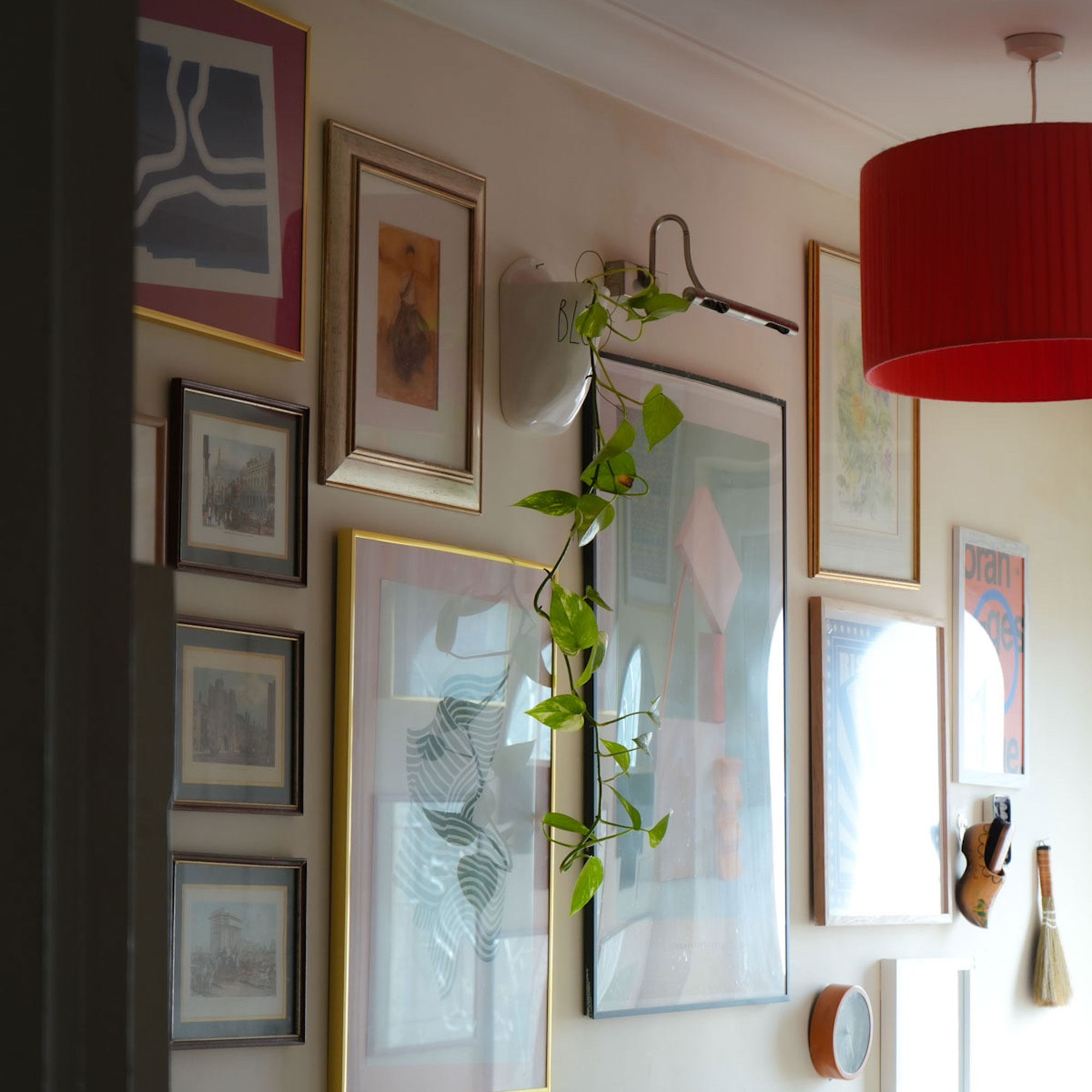 Gallery wall with pothos plant trailing from sconce