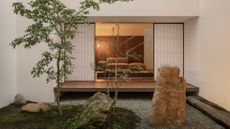 A courtyard garden with two trees, a mossy ground cover and a rock with a vide of a Japanese living room